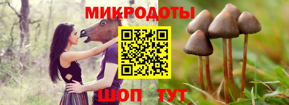Псилоцибиновые грибы мухоморы  Вход с VPN  Магнитогорск 